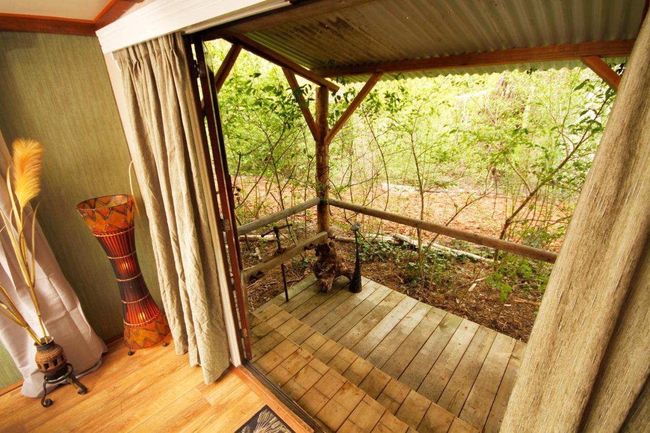 Bamboo Lodge חרונינגן מראה חיצוני תמונה