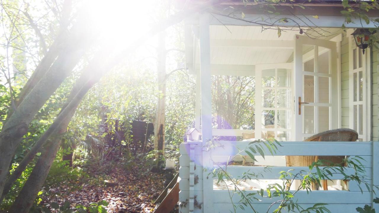 Bamboo Lodge חרונינגן מראה חיצוני תמונה
