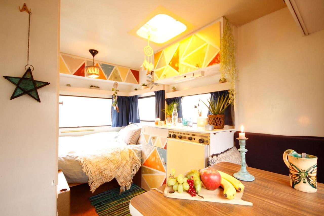 Bamboo Lodge חרונינגן מראה חיצוני תמונה