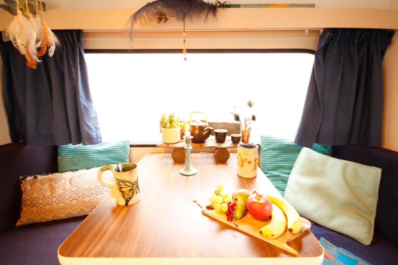 Bamboo Lodge חרונינגן מראה חיצוני תמונה