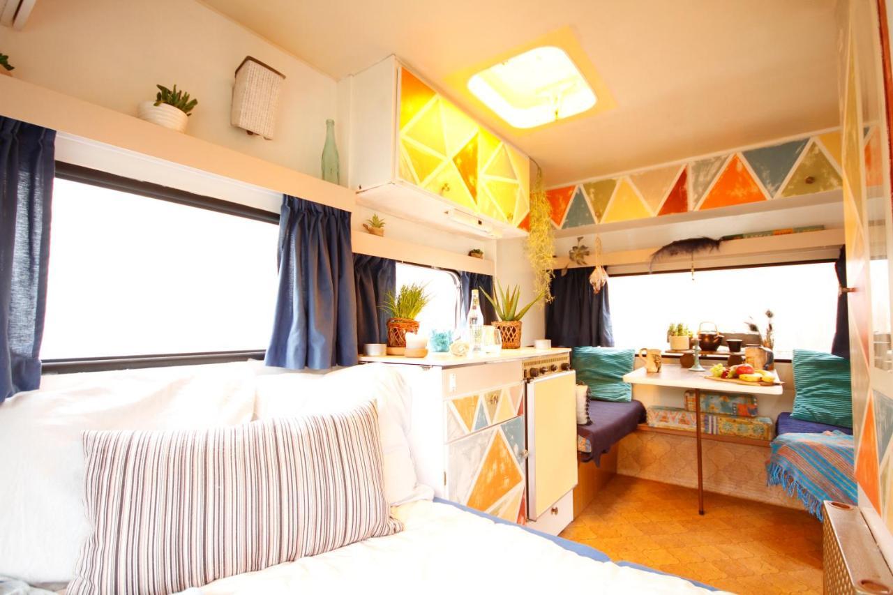 Bamboo Lodge חרונינגן מראה חיצוני תמונה