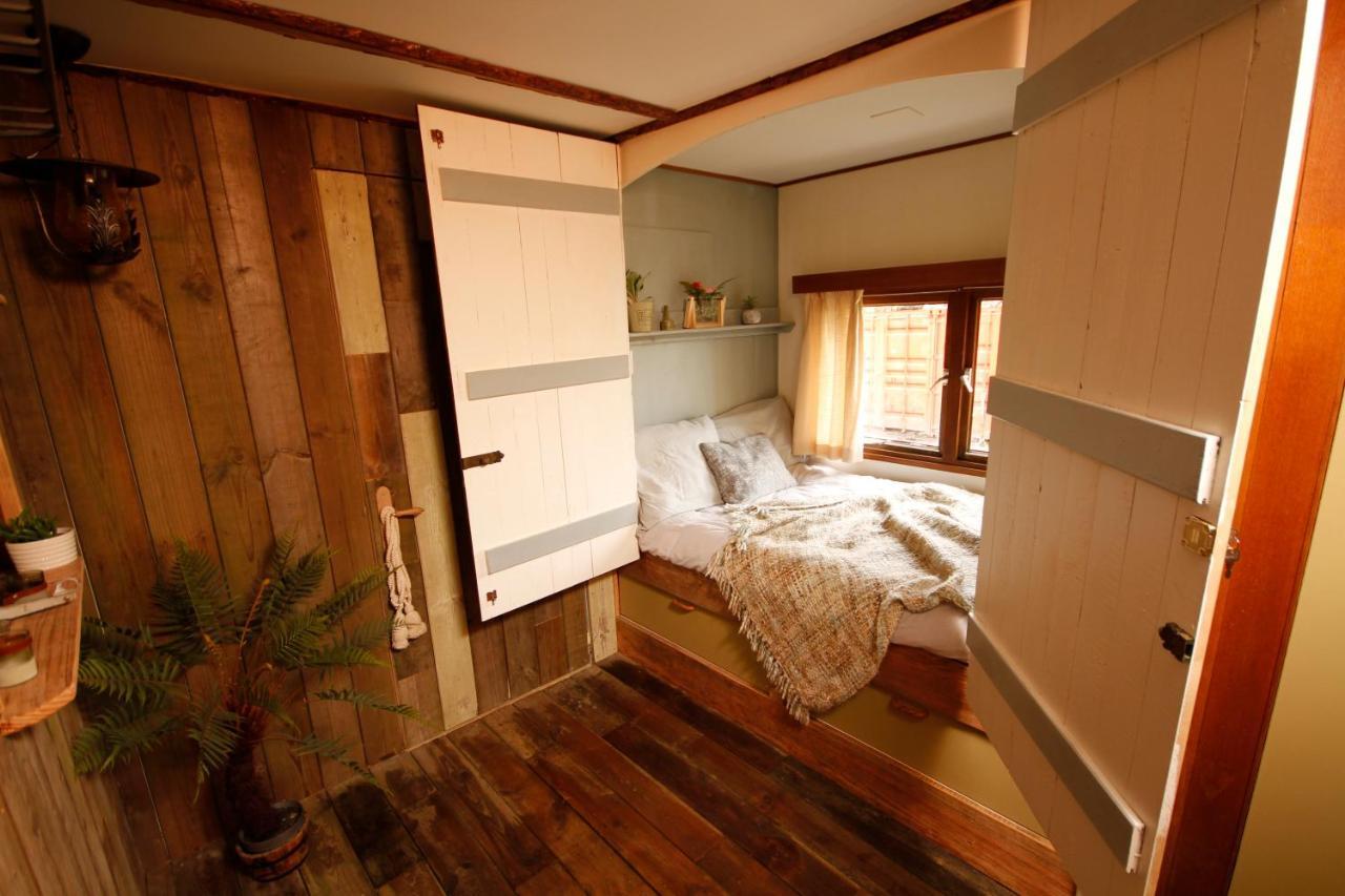 Bamboo Lodge חרונינגן מראה חיצוני תמונה